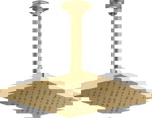 Single Function Showerhead in Vibrant Brushed Moderne Brass